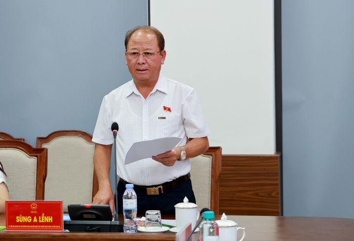 Phó Trưởng Đoàn đại biểu Quốc hội tỉnh báo cáo tình hình hoạt động 6 tháng đầu năm.