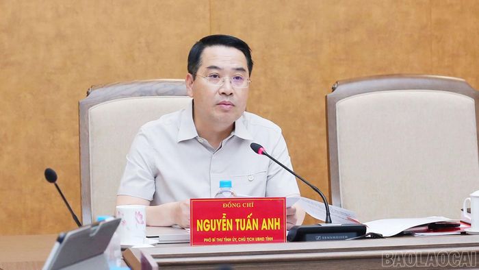 Đồng chí Nguyễn Tuấn Anh - Chủ tịch UBND tỉnh phát biểu kết luận hội nghị.