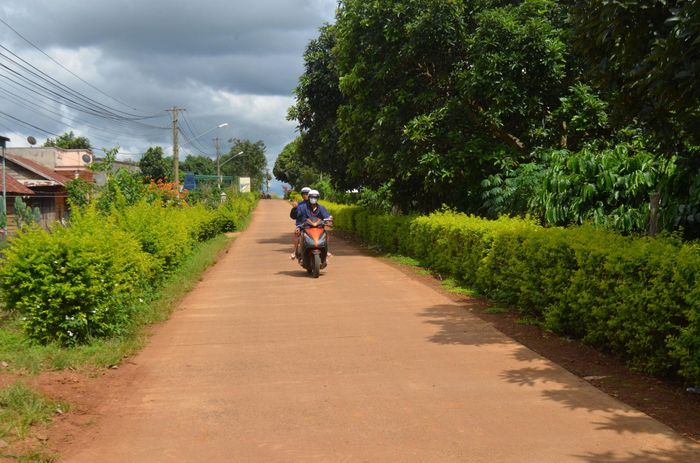 Lâm Đồng phát triển nông thôn mới giàu đẹp