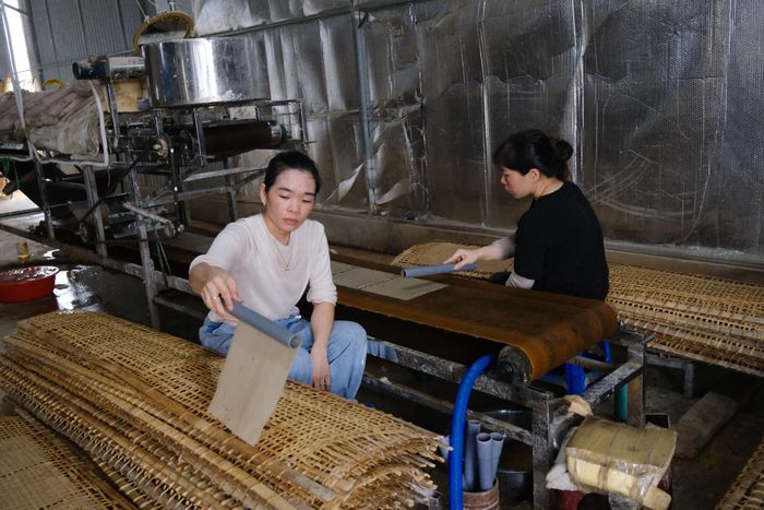 Từ chỗ sản xuất thủ công với vài trăm chiếc bánh mỗi ngày, đến nay, các cơ sở đã sản xuất 15.000 bánh/ngày nhờ ứng dụng máy móc hiện đại