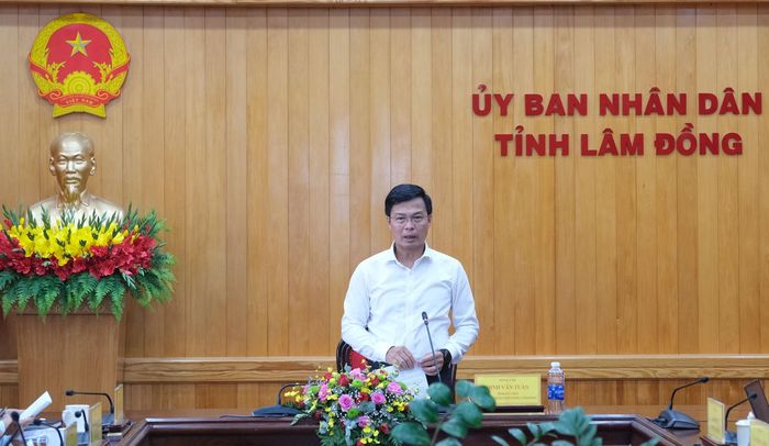 Tỉnh ủy viên, Phó Chủ tịch UBND tỉnh Đinh Văn Tuấn phát biểu kết luận cuộc họp