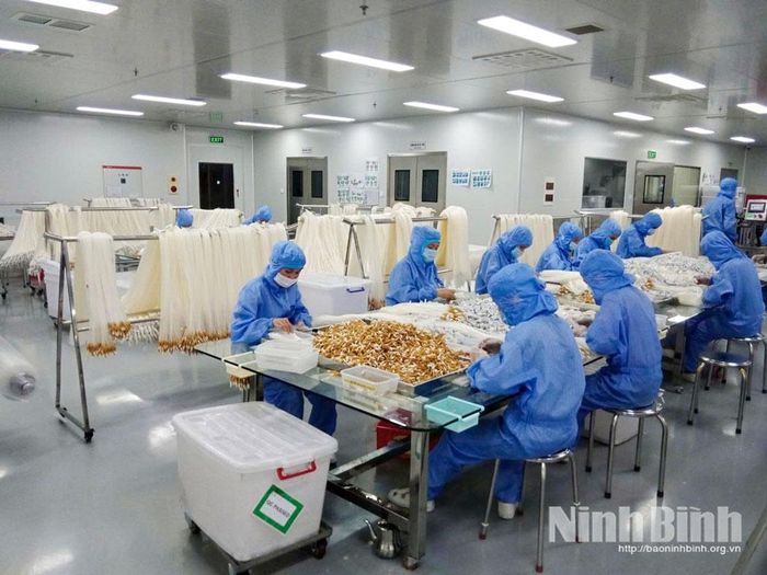Dây chuyền sản xuất tại Công ty cổ phần nhựa y tế Việt Nam, KCN Tam Điệp.