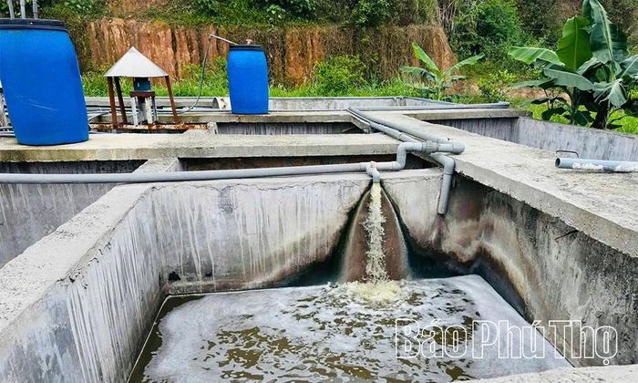 Công ty TNHH Hồng Dương thực hiện hành vi xả thải ra môi trường vượt quy chuẩn cho phép.