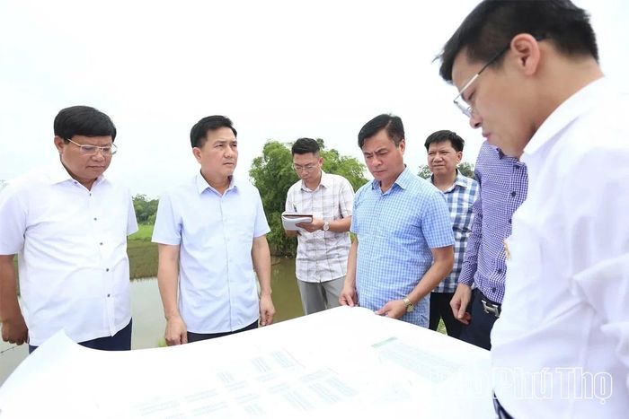 Đồng chí Phó Chủ tịch UBND tỉnh Vũ Việt Văn kiểm tra khu đất quy hoạch Dự án Khu nhà ở đô thị Hà Lộc - dự án chậm triển khai ứng vốn GPMB.