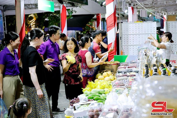 Nhân dân Thành phố Hải Phòng tham quan, mua sắm các sản phẩm nông sản, thực phẩm an toàn tỉnh Sơn La.