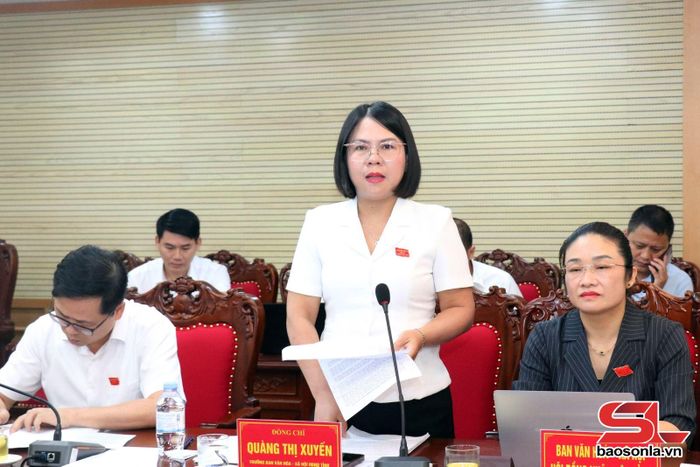 Lãnh đạo Ban Văn hóa xã hội phát biểu tại hội nghị.