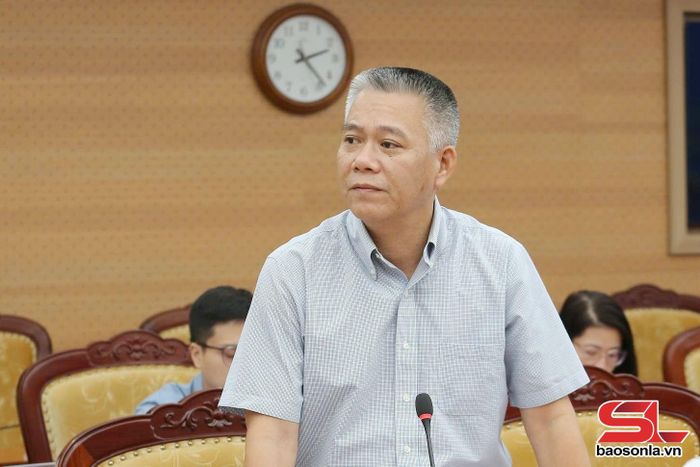 Lãnh đạo Vụ Phát triển hạ tầng phát biểu tại cuộc làm việc.