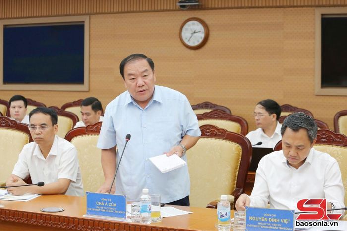 Đồng chí Phó Bí thư Tỉnh ủy phát biểu tại cuộc làm việc.