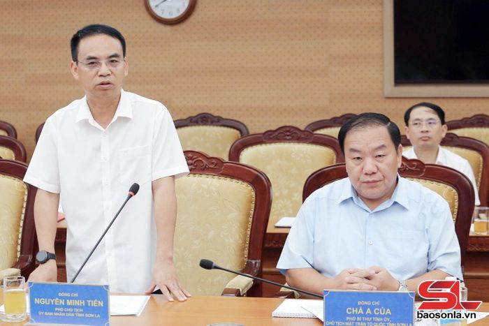 Đồng chí Phó Chủ tịch UBND tỉnh báo cáo tại cuộc làm việc.