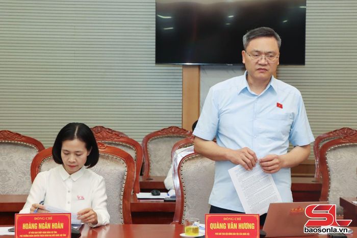 Đồng chí Phó Chủ tịch Hội đồng dân tộc của Quốc hội phát biểu tại cuộc làm việc.