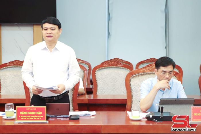 Đồng chí Phó Chủ tịch UBND tỉnh phát biểu tại cuộc làm việc.