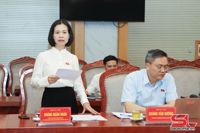 Đồng chí Phó Trưởng đoàn chuyên trách Đoàn đại biểu Quốc hội tỉnh phát biểu tại cuộc làm việc.