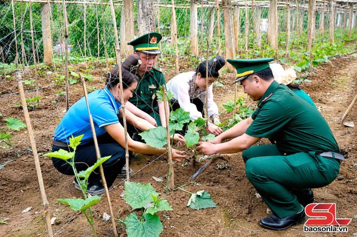Cán bộ Đồn Biên phòng Phiêng Pằn hướng dẫn nhân dân trồng rau.