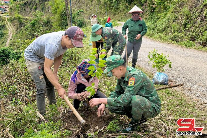 Bộ đội Đồn Biên phòng Phiêng Pằn cùng nhân dân trồng cây xanh.