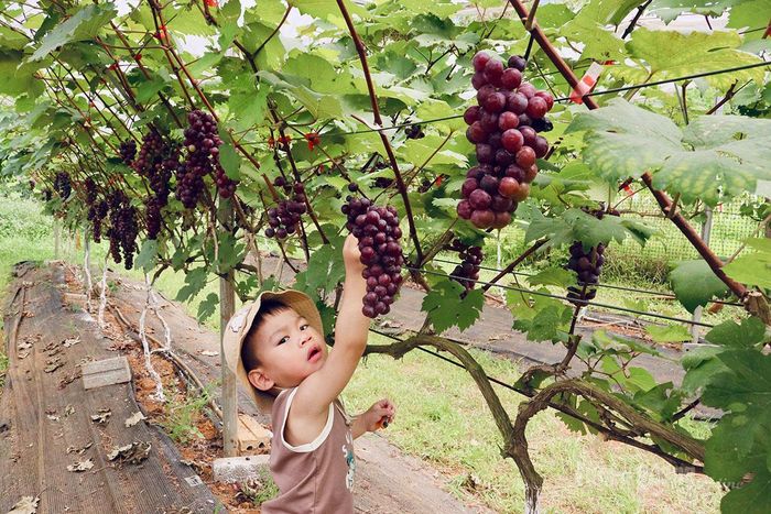 Các bạn nhỏ rất hào hứng với loại hình trải nghiệm mới này.