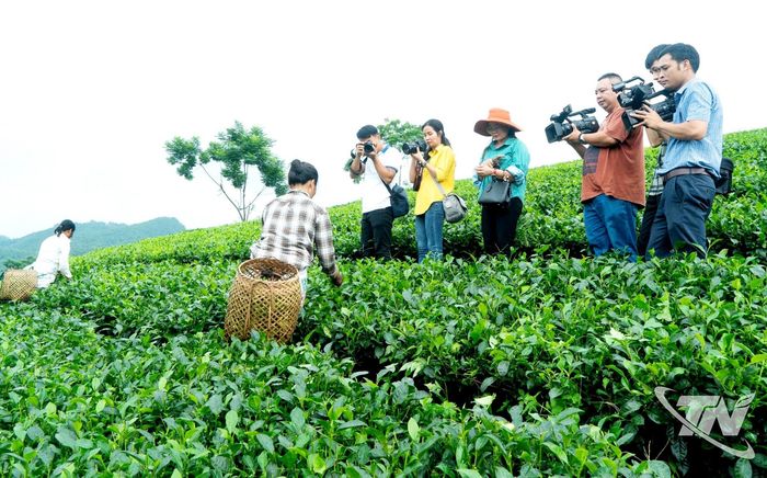 Các phóng viên tác nghiệp tại cơ sở.