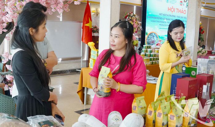 Giới thiệu sản phẩm của các hợp tác xã tại gian hàng trưng bày.