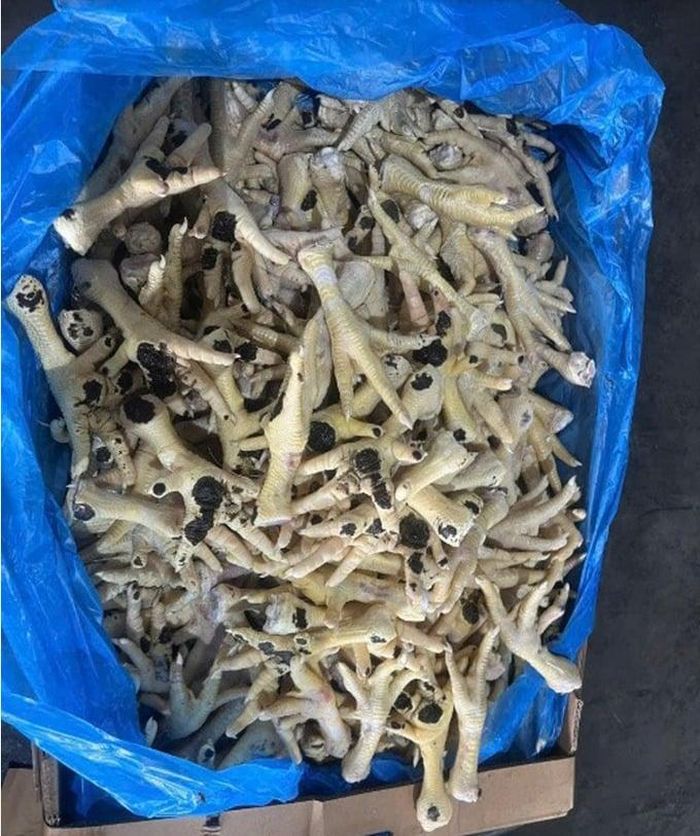 Một lượng lớn chân gà nhập lậu đã được tuồn ra thị trường tiêu thụ. Ảnh: CACC