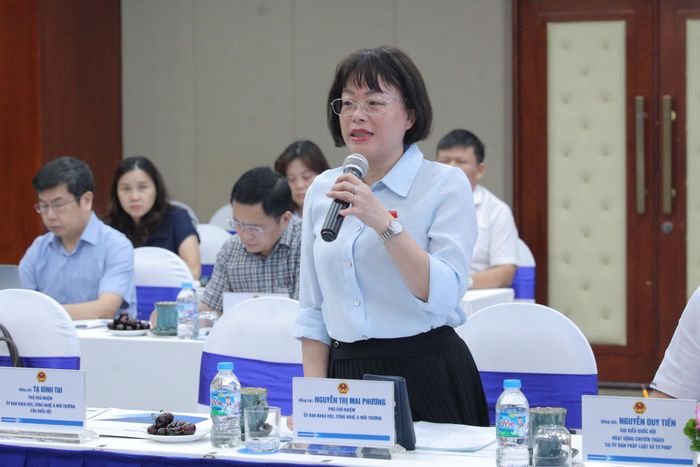 Phó Chủ nhiệm Ủy ban Khoa học, Công nghệ và Môi trường Nguyễn Thị Mai Phương phát biểu