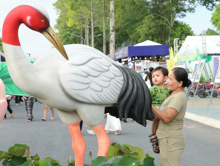Sếu đầu đỏ... lên phố sen