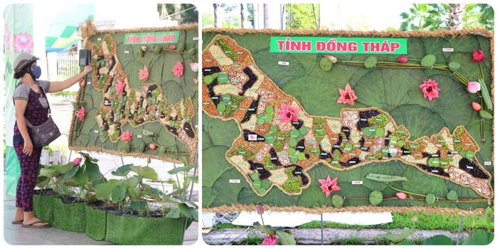 Bản đồ tỉnh Đồng Tháp mới làm từ Sen