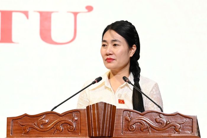 Phó Chủ tịch HĐND tỉnh Nguyễn Thị Việt Hà thông qua chương trình kỳ họp