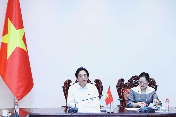 ĐBQH hoạt động chuyên trách tại Ủy ban Quốc phòng, An ninh và Đối ngoại Trần Việt Anh phát biểu