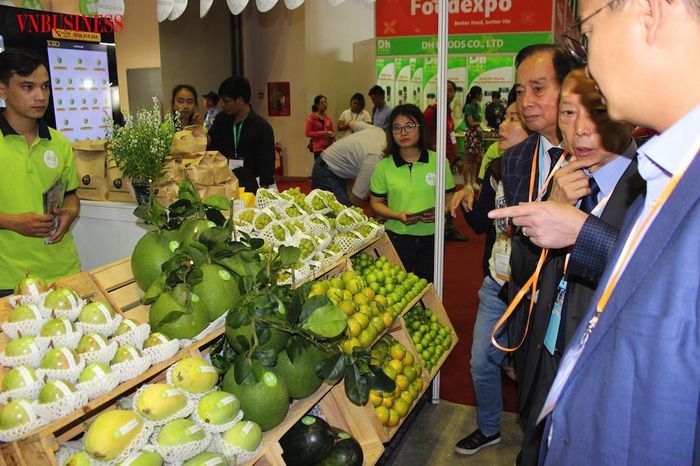 Các nhà thu mua đánh giá cao thương hiệu bưởi Đồng Nai bên cạnh nhiều loại trái cây xuất khẩu chủ lực khác; trong đó, các HTX đóng vai trò quan trọng trong chuẩn hóa sản xuất, truy xuất nguồn gốc và xây dựng uy tín cho sản phẩm trên thị trường.
