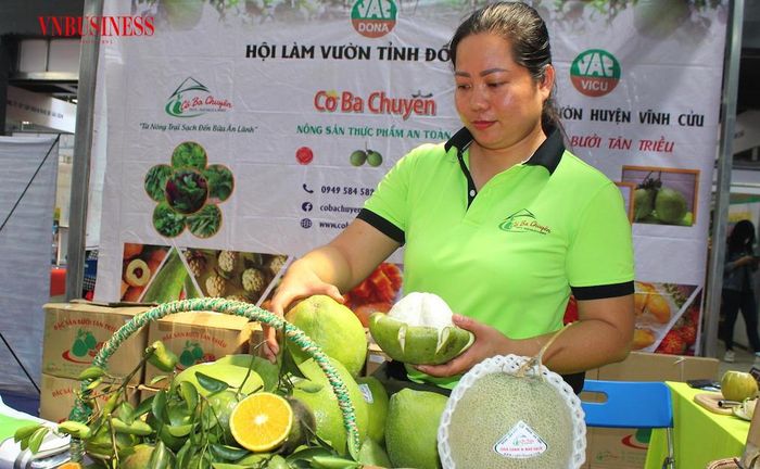 Bưởi Tân Triều là thương hiệu nổi bật nhất của ngành bưởi Đồng Nai, với vai trò quan trọng của các HTX trong tổ chức sản xuất, xây dựng chỉ dẫn địa lý, nâng cao chất lượng và kết nối thị trường.