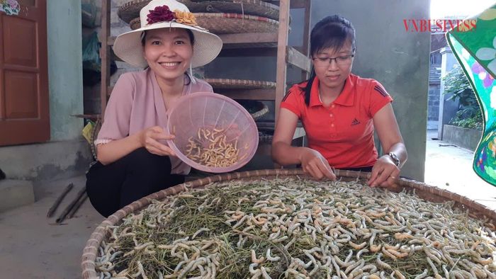 Phóng viên (bên trái) trong một lần tìm hiểu, viết bài về mô hình trồng dâu nuôi tằm.