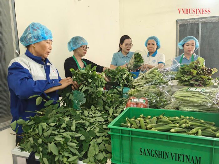 Chị Hằng (người mặc áo trắng) đang kể cho phóng viên nghe về video của HTX sau 5 ngày đăng đã được lên xu hướng đạt hơn 1 triệu lượt xem. 