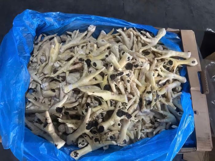 Chân gà mốc thối các đối tượng bán ra thị trường.