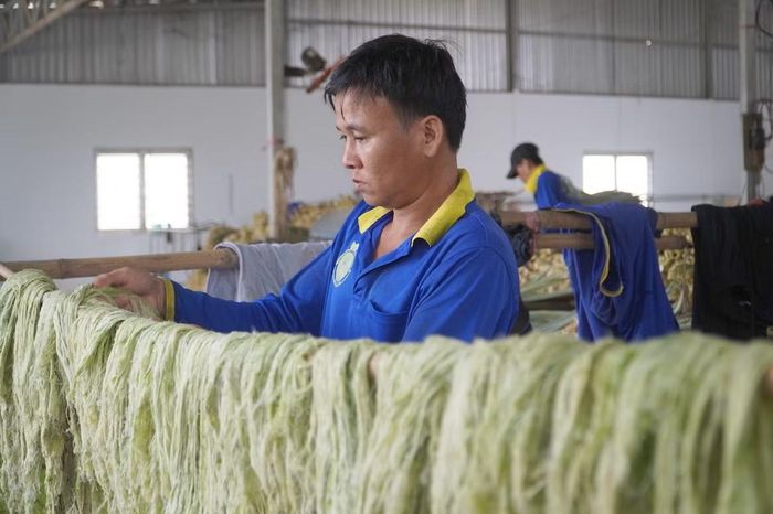 Mô hình ép lá khóm lấy sợi tại xã Hỏa Lựu, TP Cần Thơ không chỉ giúp nông dân tăng thu nhập mà còn hạn chế thải phụ phẩm ra môi trường.