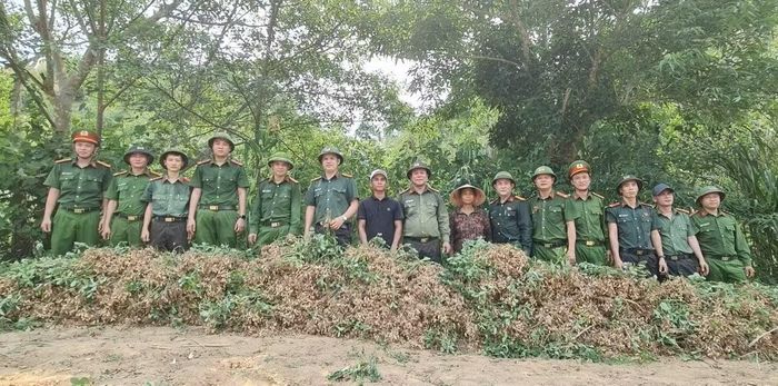 Công an xã Trường Sơn, Công an tỉnh Quảng Trị xuống đồng giúp dân thu hoạch lạc trong thời tiết khô hạn.