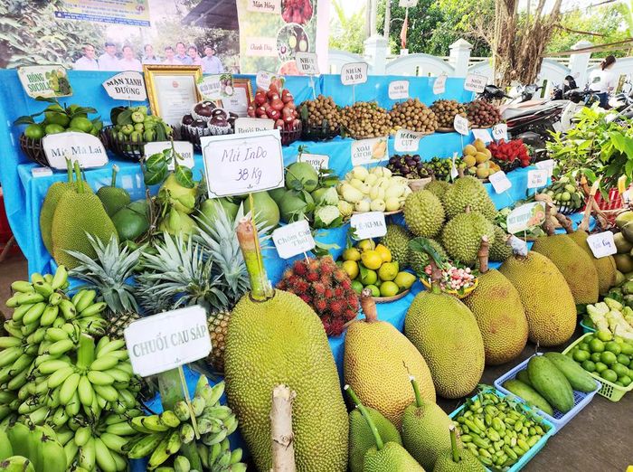 Nhiều loại trái cây ngon tại Ngày hội Sông nước miệt vườn. Ảnh: Duy Khang.