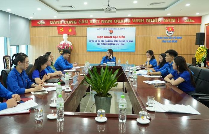 Họp đoàn đại biểu dự Đại hội Đại biểu toàn quốc đoàn TNCS Hồ Chí Minh lần thứ XIII.