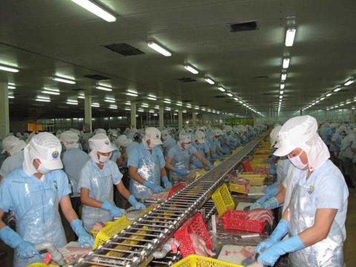 Nhiều nhà máy chế biến thủy sản xuất khẩu ra đời, góp phần giải quyết việc làm cho hơn 500 ngàn lao động