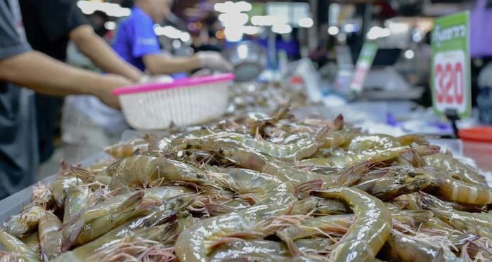 Việc tranh chấp có dấu hiệu được tháo gỡ được kỳ vọng sẽ giúp người nuôi tôm phục hồi sản xuất, ổn định giá cả và khôi phục dòng chảy thương mại thủy sản giữa hai quốc gia