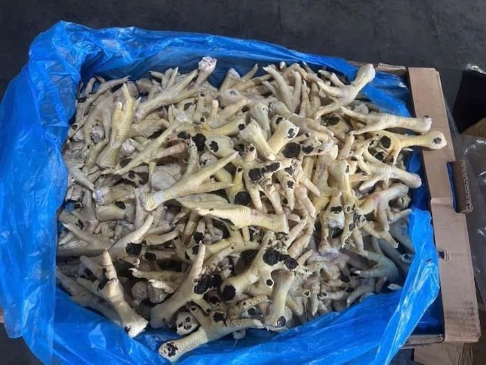 Hàng nghìn tấn chân gà đông lạnh bị phát hiện, thu giữ