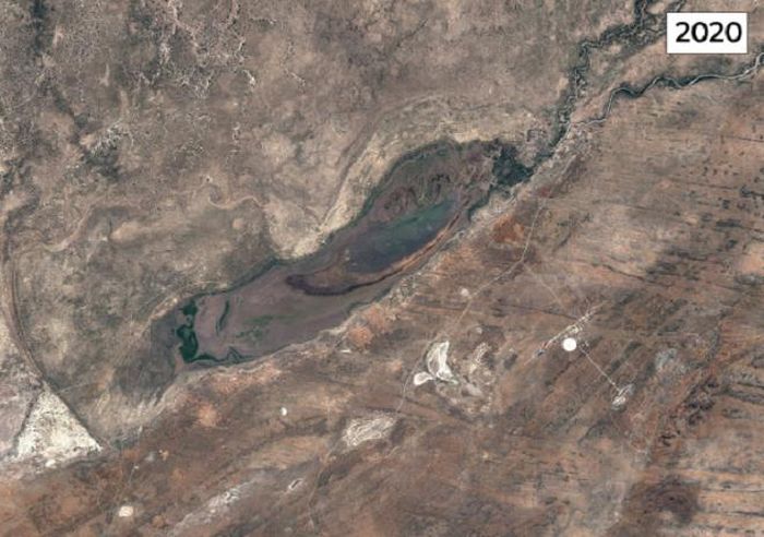 Ảnh vệ tinh hồ Ngami, Botswana, năm 1984 và 2020. (Ảnh: Google Earth)
