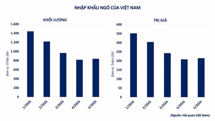 Nhập khẩu ngô của Việt Nam. Nguồn: MXV