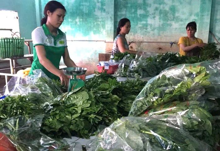 Chuẩn hóa quy trình đóng gói, bảo quản và giao nhận theo tiêu chuẩn thương mại điện tử là hết sức cần thiết . Ảnh: PV