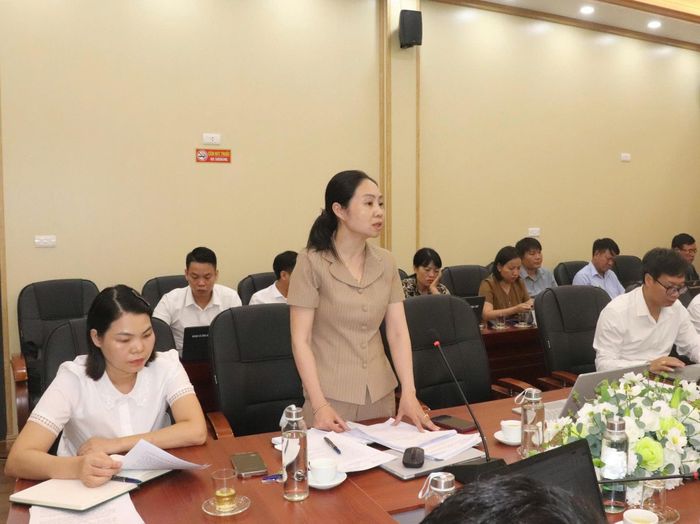 Lãnh đạo Phòng Văn hóa - xã hội báo cáo về đề án sắp xếp thôn tại hội nghị. Ảnh: Hoàng Sơn