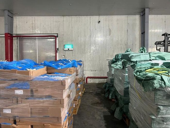 Cơ quan điều tra xác định Nguyễn Thị Tố Loan đã chỉ đạo Trang Tuyết Ngọc (SN 1981), Trưởng phòng trợ lý của An Bình Group, tổ chức tiêu thụ hơn 10.000 tấn chân gà ra thị trường nội địa.