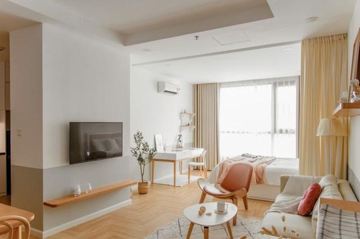 Mẫu phòng khách kết hợp phòng ngủ được chia ra bằng rèm cửa mang đến vẻ đẹp nhẹ nhàng.