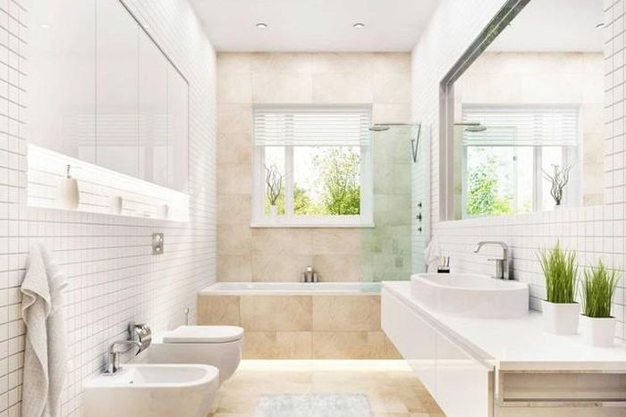 Nên đặt trong nhà vệ sinh một chậu cây xanh như cây lưỡi hổ, trầu bà… để hút bớt ẩm và chuyển hóa một phần uế khí thành sinh khí.