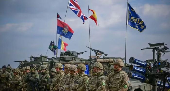 Ông cho rằng NATO đã trở thành "hổ giấy" trong thời gian quá dài khi nhiều quốc gia thành viên chưa đầu tư đủ cho quốc phòng và vẫn phụ thuộc đáng kể vào sức mạnh quân sự của Mỹ.
