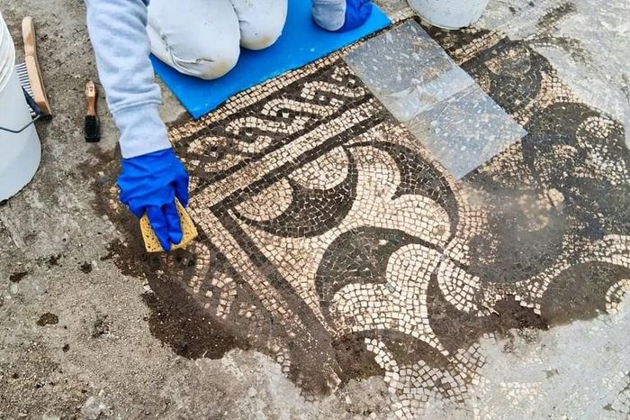 Những bức tranh khảm tinh xảo là một trong những hiện vật được phát hiện tại khu biệt thự La Mã vừa được khai quật. Ảnh: Bộ Văn hóa Italia