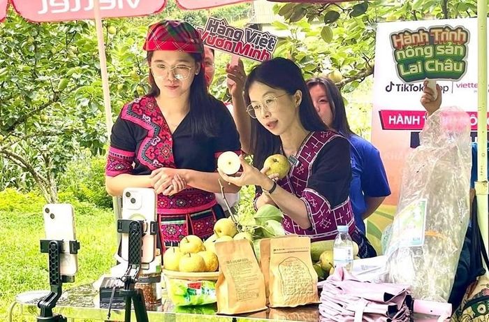 Phiên livestream quảng bá, bán lê ngay tại vườn nhằm tiếp cận tới người tiêu dùng toàn quốc
