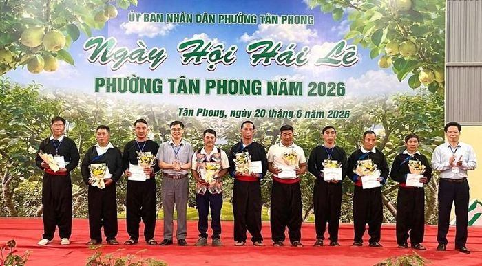 Biểu dương 9 hộ gia đình trồng lê tiêu biểu tại phường Tân Phong